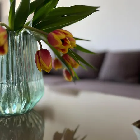 Appartement Brockenblick *