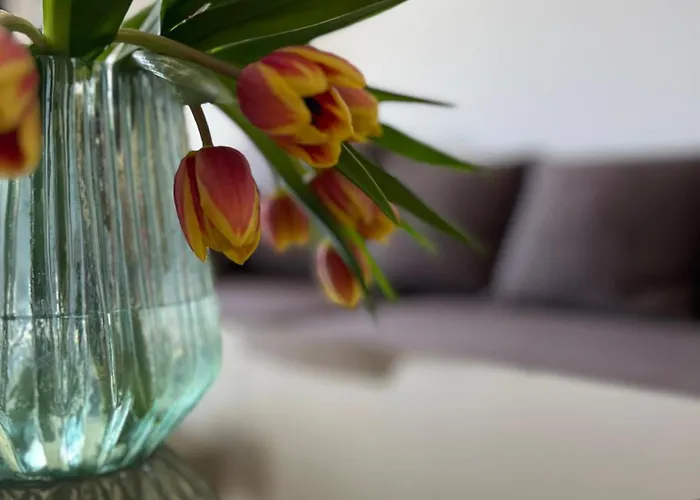 Appartement Brockenblick *