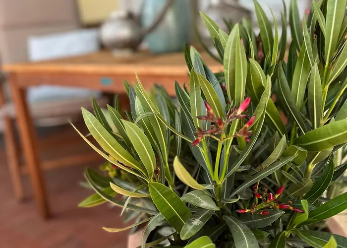 Appartement Brockenblick